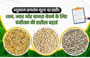 समर्थन मूल्य पर धान, ज्वार एवं बाजरा उपार्जन हेतु पंजीयन 10 अक्टूबर तक