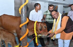 रायपुर : गोवर्धन पूजा के अवसर पर मुख्यमंत्री ने किया गौपूजन, प्रदेशवासियों की सुख-समृद्धि की कामना की