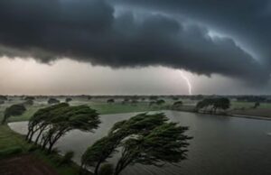 अरब सागर के लो प्रेशर का असर, मध्य प्रदेश के 12 जिलों में बारिश; मैहर में बिजली गिरने से 2 की मौत