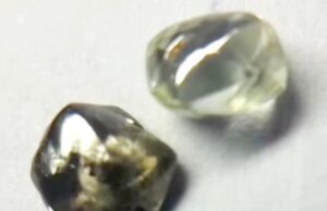 पन्ना टाइगर रिजर्व के गाइड को मिले दो चमचमाते हीरे, आगामी नीलामी में होंगे रखे