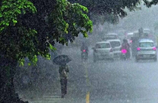 barish1-7.jpg