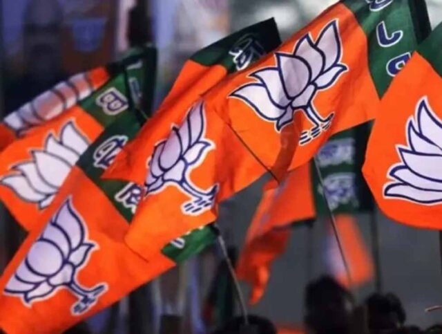 bjp1-7.jpg