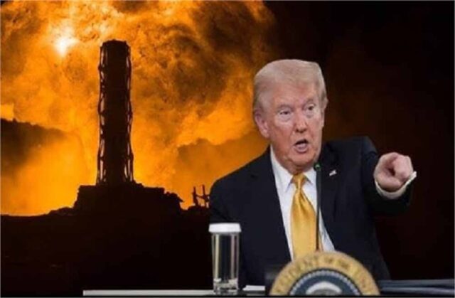 donald-13.jpg