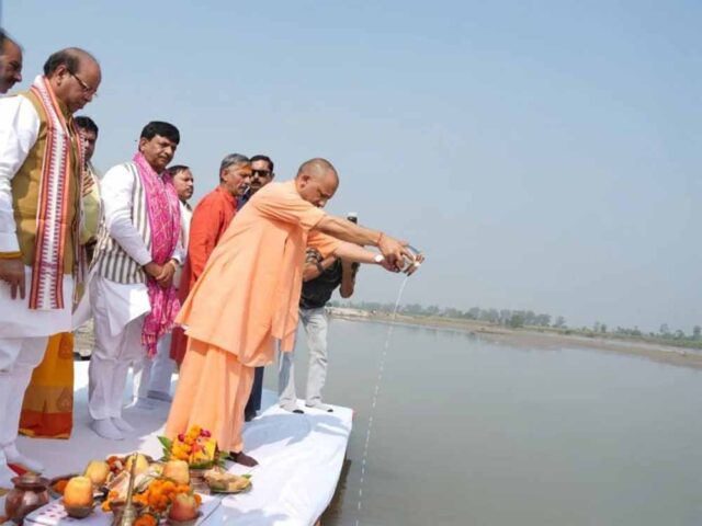 yogi-17.jpg