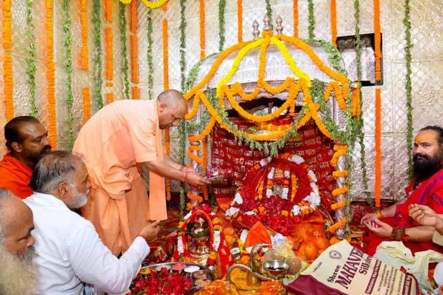 yogi1-6.jpg
