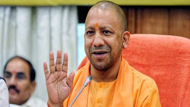 yogi2-2.jpg