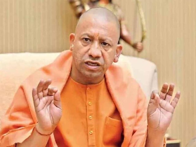 yogi3-4.jpg