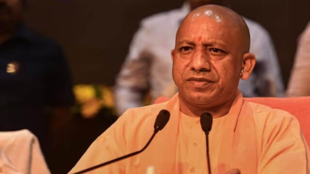 yogi_100-3.jpg