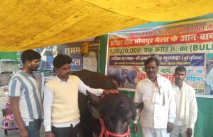 सोनपुर मेले में अनोखा आकर्षण: प्रधान बाबू की कीमत पहुँची एक करोड़!