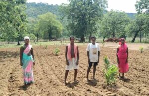 बंदूक की गूंज से फलों और फूलों की महक तक का सफर