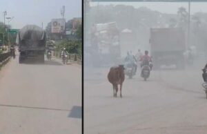 पर्यावरण संकट पर कार्रवाई की तैयारी: प्रशासन ने जल प्रदूषण व फ्लाई ऐश मामले में मांगी रिपोर्ट