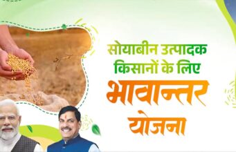 भावांतर योजना में सोयाबीन का मॉडल रेट बढ़कर हुआ 4255 रुपए