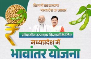 भावांतर योजना में सोयाबीन का मॉडल रेट बढ़कर हुआ 4267 रुपए
