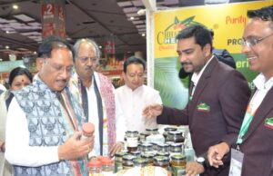 रायपुर : अंतरराष्ट्रीय व्यापार मेले में मुख्यमंत्री विष्णुदेव साय ने छत्तीसगढ़ पेवेलियन का किया अवलोकन
