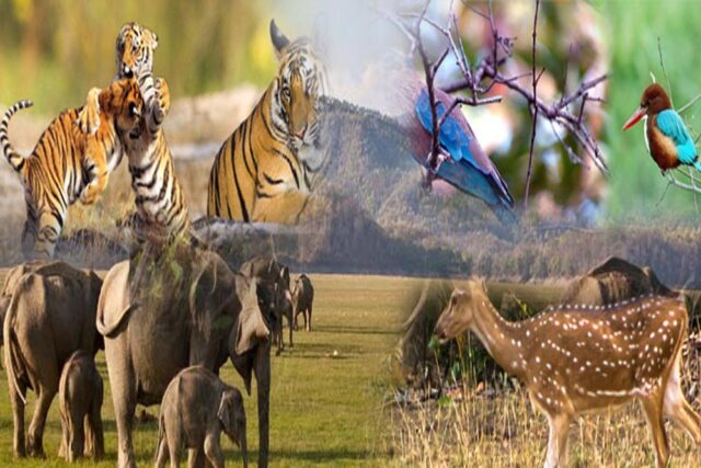 25A_82.jpg