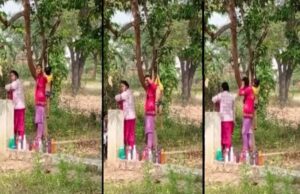 सूरजपुर: स्कूल में मासूम बच्चे को टी-शर्ट से पेड़ पर लटकाने का वीडियो वायरल, प्रशासन में खलबली