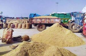 मंडी शुल्क की चोरी करने वाले के विरुद्ध कड़ी कार्रवाई के निर्देश