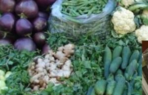 सब्जी बेचने वाले ने खुद को समिति संचालक बताकर महिला से 5.40 लाख की ठगी की