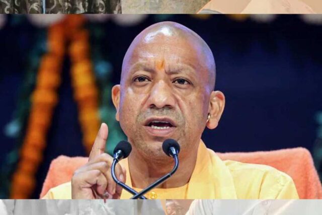 yogi_89_1-7.jpg