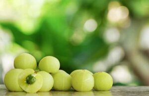 सेहत के लिए बहुत जरूरी है आंवले का सेवन…