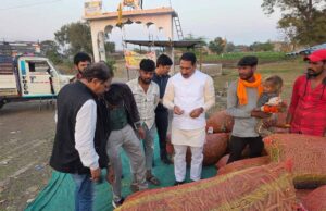 कृषि मंत्री कंषाना ने मटर की फसल का निरीक्षण कर किसानों से किया संवाद