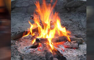 नए साल पर झटका: टाइगर रिज़र्व के रिसॉर्ट्स और होटलों में अब नहीं जलेगा अलाव, सुप्रीम कोर्ट ने लगाया रोक