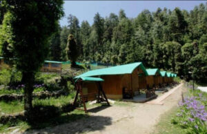 कुकरैल वन क्षेत्र में हो रहा ईको टूरिज्म सुविधाओं का विकास, मिलेगा प्रकृति का आनंद