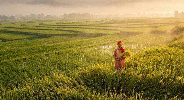 kisan-2.jpg