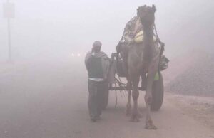 शेखावाटी से जयपुर तक ठंड का असर, कोहरे के साथ लुढ़का तापमान