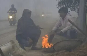 MP Weather Report: कड़ाके की ठंड और कोहरे का असर, रीवा-सतना में दृश्यता 50 मीटर, भोपाल में शीतलहर