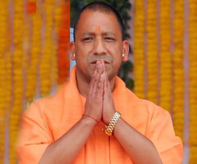 yogi-20.jpg