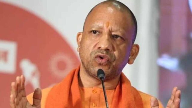 yogi6-1.jpg