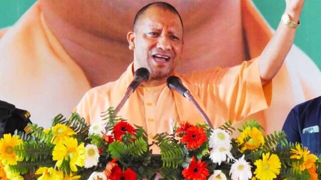 yogi6-2.jpg