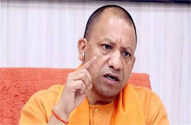 yogi6-3.jpg