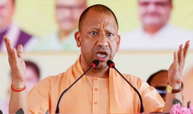 yogi_11.jpg