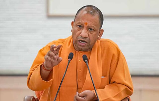 yogi_d_93_2-7.jpg
