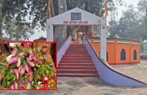 बैगन चढ़ाओ, मन्नत पाओ! बिहार के इस अनोखे शिवधाम में खेती से जुड़ी है भोलेनाथ की आस्था