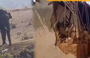 हाथियों के दल का खाड़ा गांव में हमला, मकान तोड़ा, दो गायों की मौत