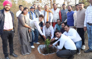 निगम अध्यक्ष चंद्रहास चंद्राकर के जन्मदिन पर बधाई देने वालों का लगा ताता