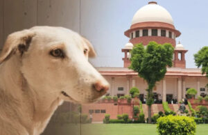 कुत्ते के काटने से मौत पर राज्य सरकार को सुप्रीम कोर्ट का आदेश, देना होगा भारी मुआवजा