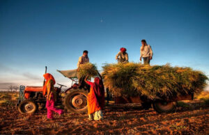 नए साल में मध्य प्रदेश को मिलेंगी खास सौगातें, युवाओं और किसानों के लिए खुशखबरी
