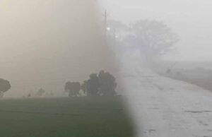 एमपी के 30 जिलों में बारिश, 8 जिलों में ओले गिरे; फसलों को नुकसान, 14 जिलों में आज अलर्ट