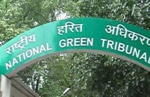 भोपाल का कलियासोत–भोज वेटलैंड विवाद: एनजीटी ने प्रशासन की निष्क्रियता पर लगाई फटकार