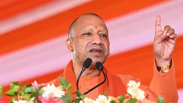 CM_Yogi_03-2.jpg