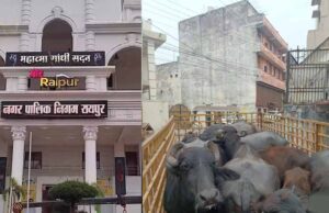 डेयरी संचालक पर 10000 का ई-जुर्माना, रायपुर नगर निगम ने दिया नोटिस और चेतावनी