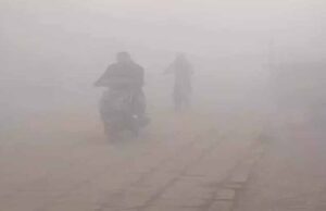 बिहार के 20 जिलों में घने कोहरे का ऑरेंज अलर्ट, सड़कों पर रफ्तार थमी; दो दिन बाद और बढ़ेगी ठंड