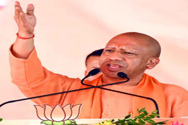 yogi-2.jpg