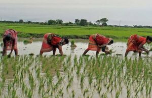 छत्तीसगढ़ सरकार की योजना: किसान तैयार हो जाएं, 1.5 लाख रुपये तक मिलेगा लाभ, जानें आवेदन प्रक्रिया