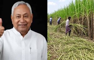 बिहार में चीनी उद्योग का होगा विकास, गन्ने का रकबा बढ़ाने का सरकार ने सेट किया टारगेट