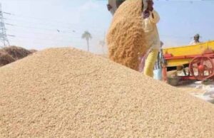 छत्तीसगढ़ के किसानों को बड़ी राहत, धान खरीदी की तारीख 2 दिन बढ़ी, अब 4 और 5 फरवरी को भी बिकेगा धान